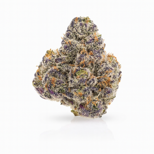 Carolina Runtz THCA